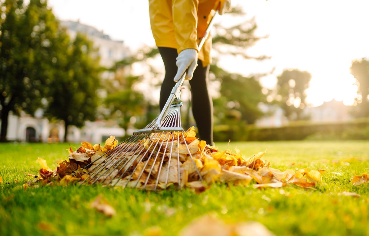 Autumn Garden Maintenance